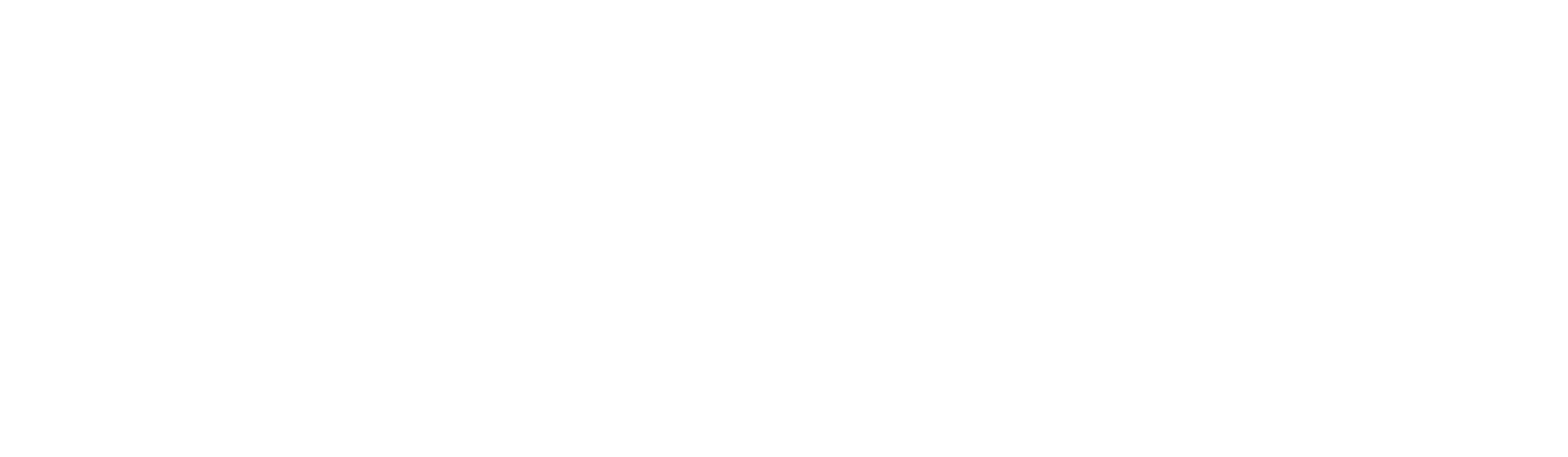 Shaw Trust Accessibility logo